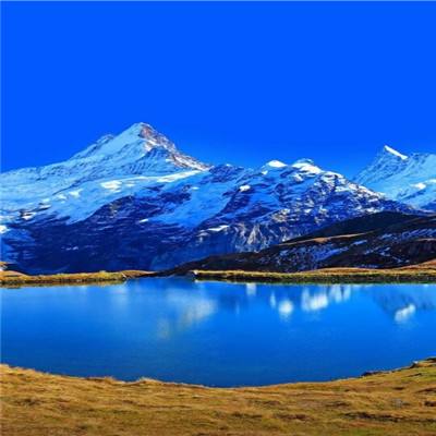 星空体育2024下载手机app下载