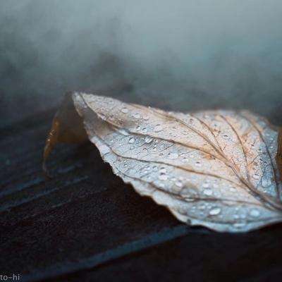 乐鱼官网下载手机版截图